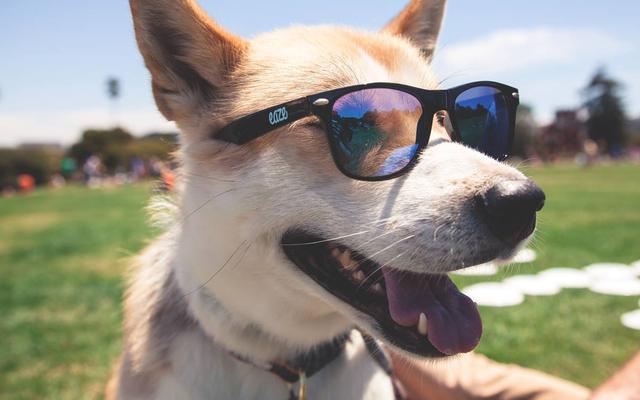 Empowering Participation in Knowledge Sharing